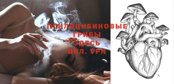 spice Алексеевка