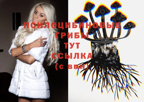 spice Алексеевка